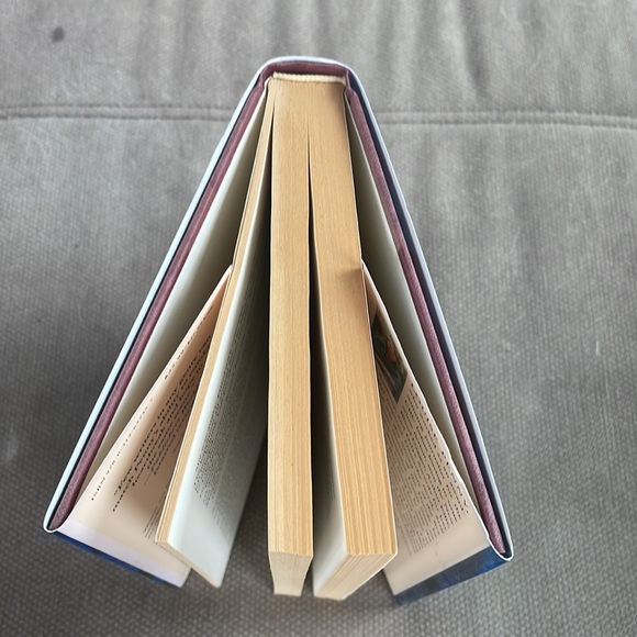 A Trick of the Light (A Chief Inspector Gamache Novel) - Louise Penny. First Ed. - Picture 10 of 11